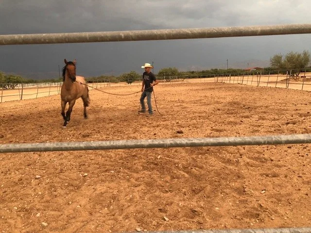 Man in cowboy hat practicing roping a horse in an outdoor arena with a cloudy sky.