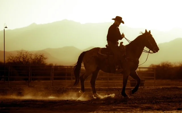 Person riding a horse on a dirt arena during sunset