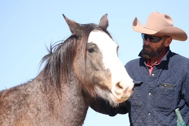 A man wearing a cowboy hat and sunglasses standing next to a horse against a blue sky.