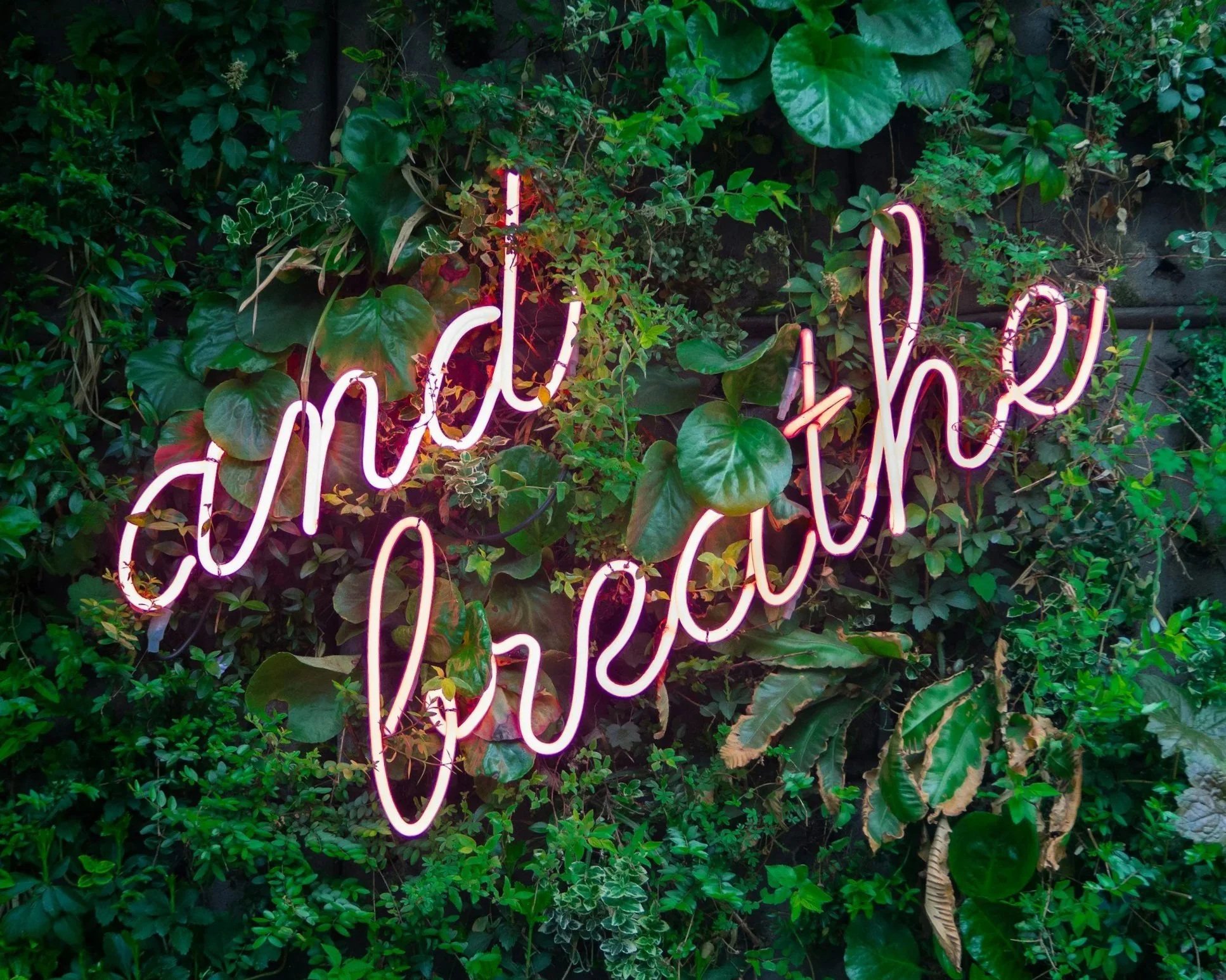 Pink neon sign says "and breathe" mounted on a lush green wall of various plants and leaves.