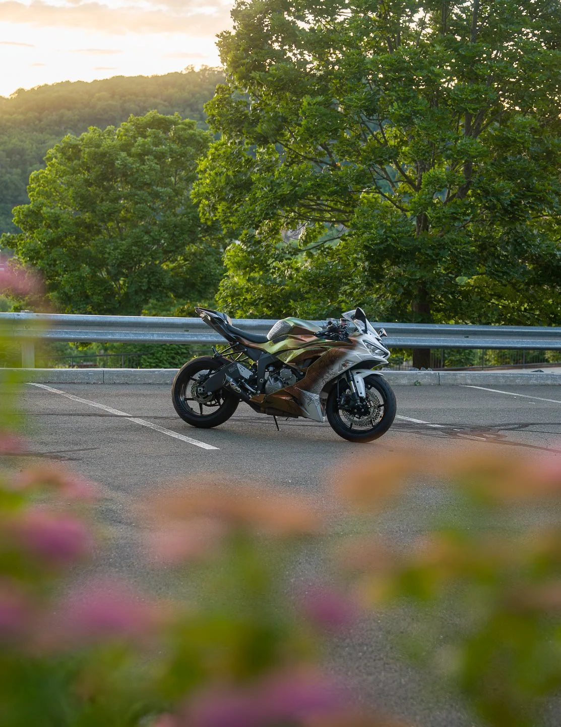 Nova Sunset-13.jpg