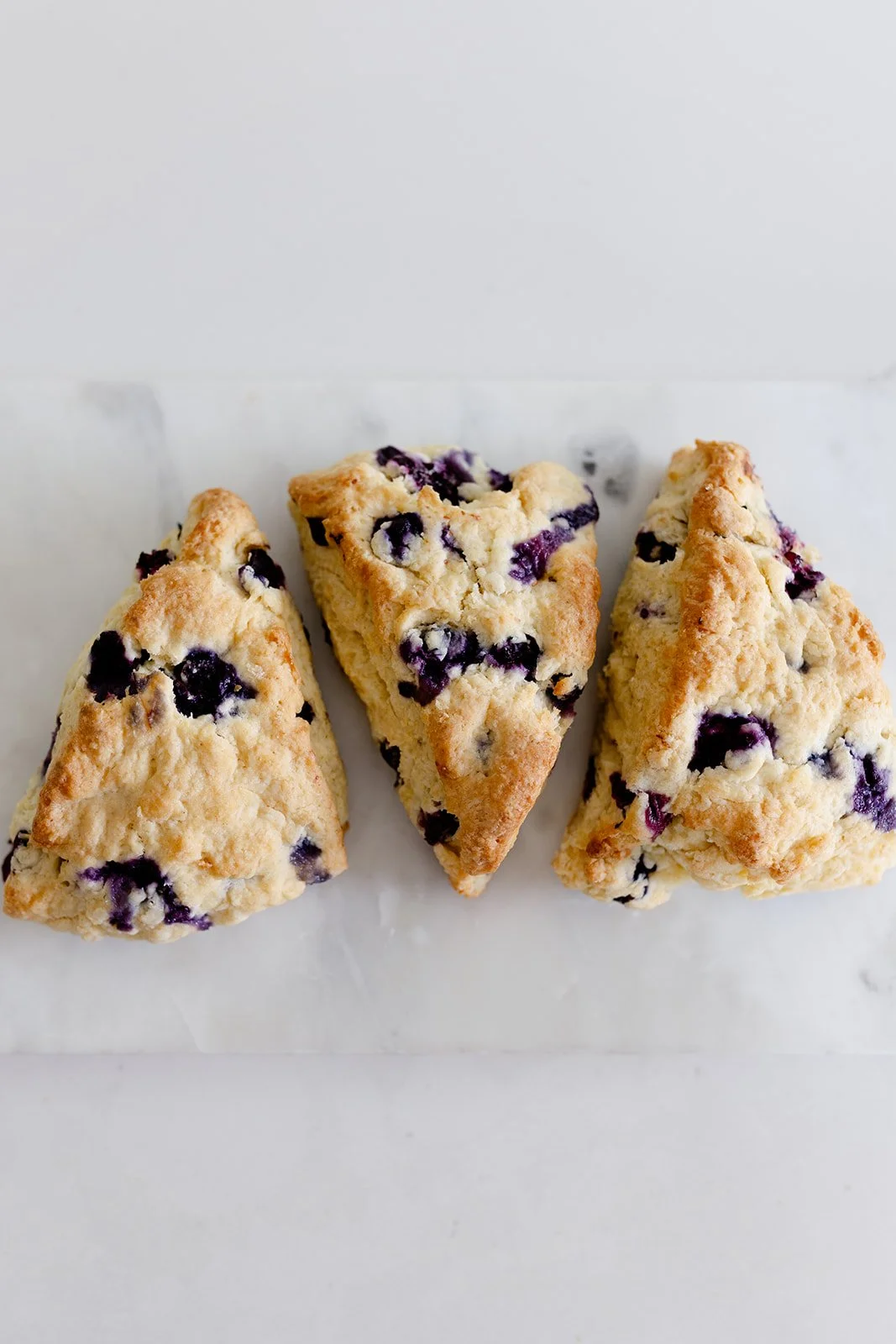 Big Dog Bakery138.jpg