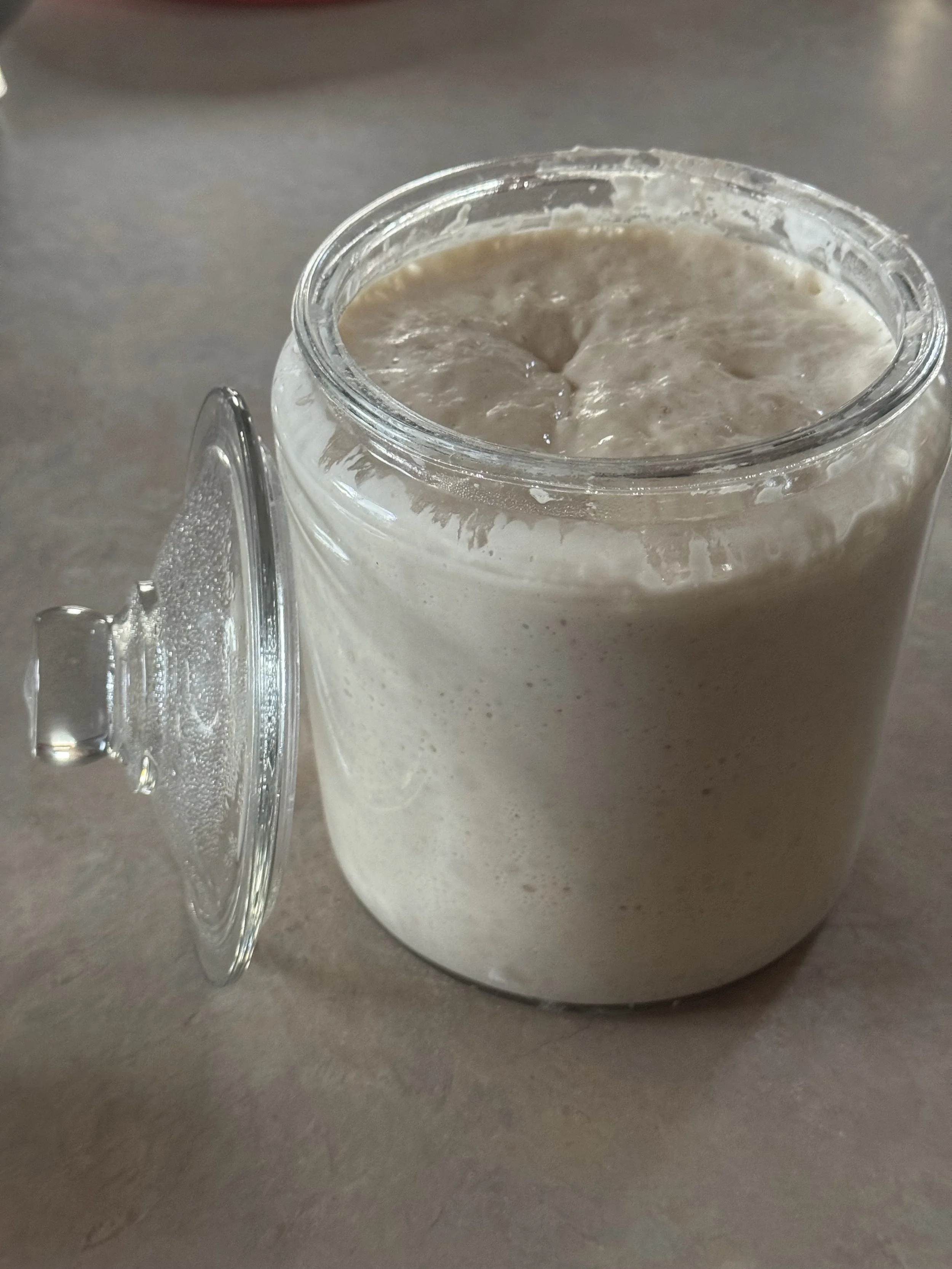 Big Dog Bakery Beginner's Sourdough Guide