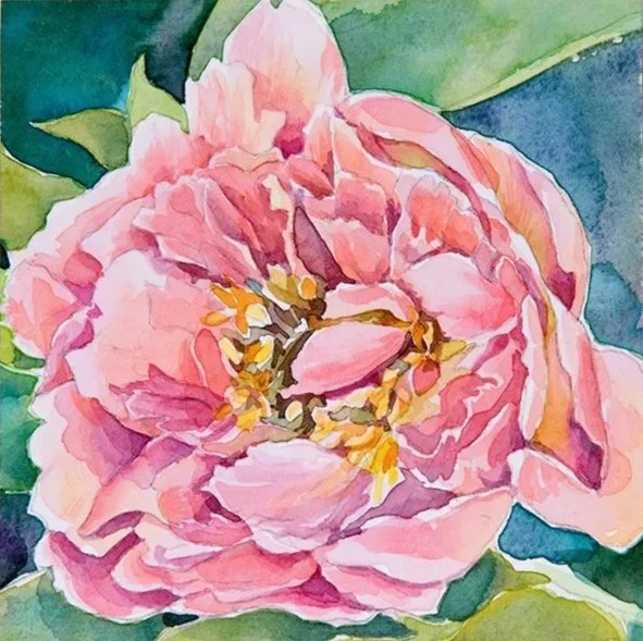 0925_PEONY_6X6_LO.jpg