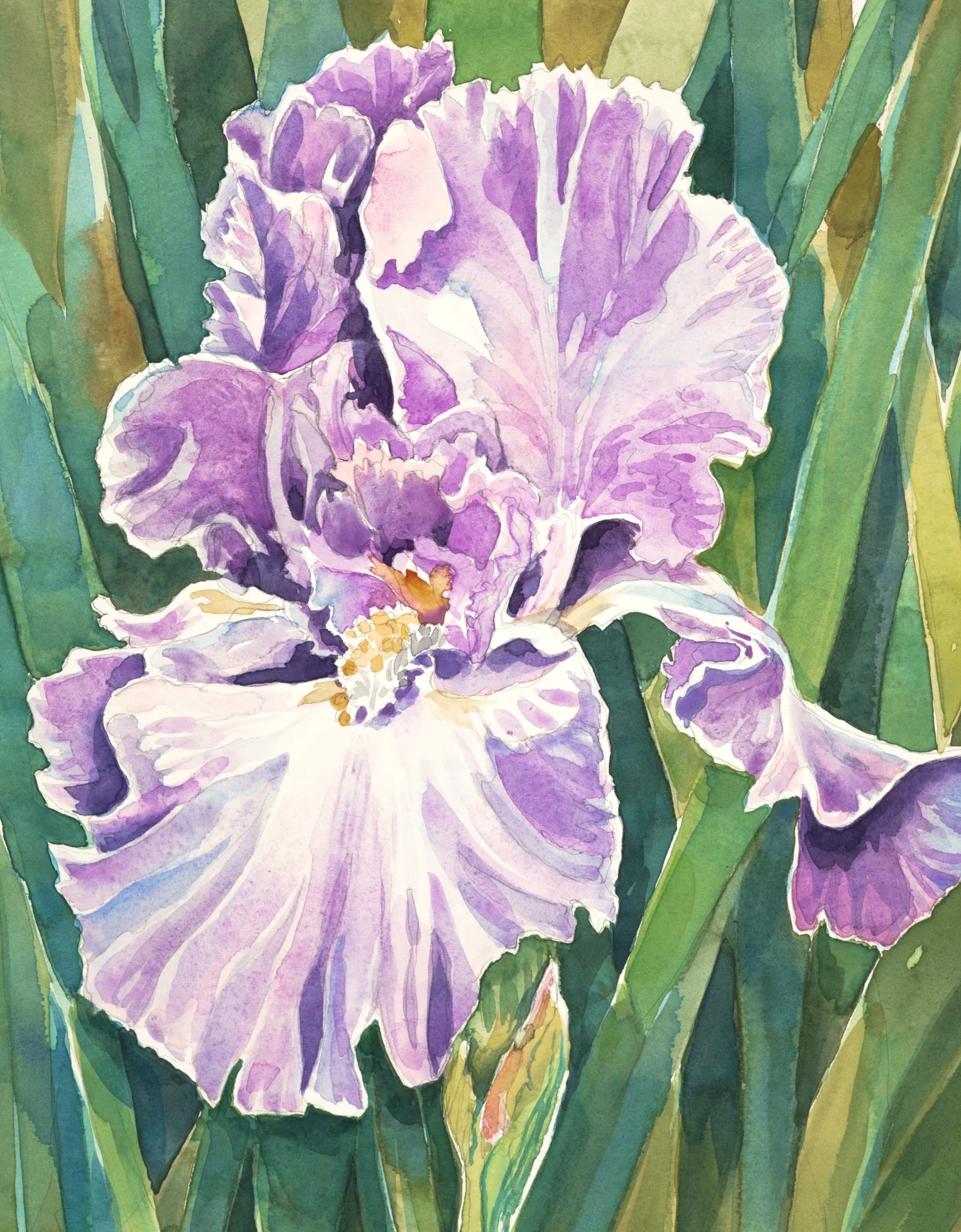 Andrea's Iris