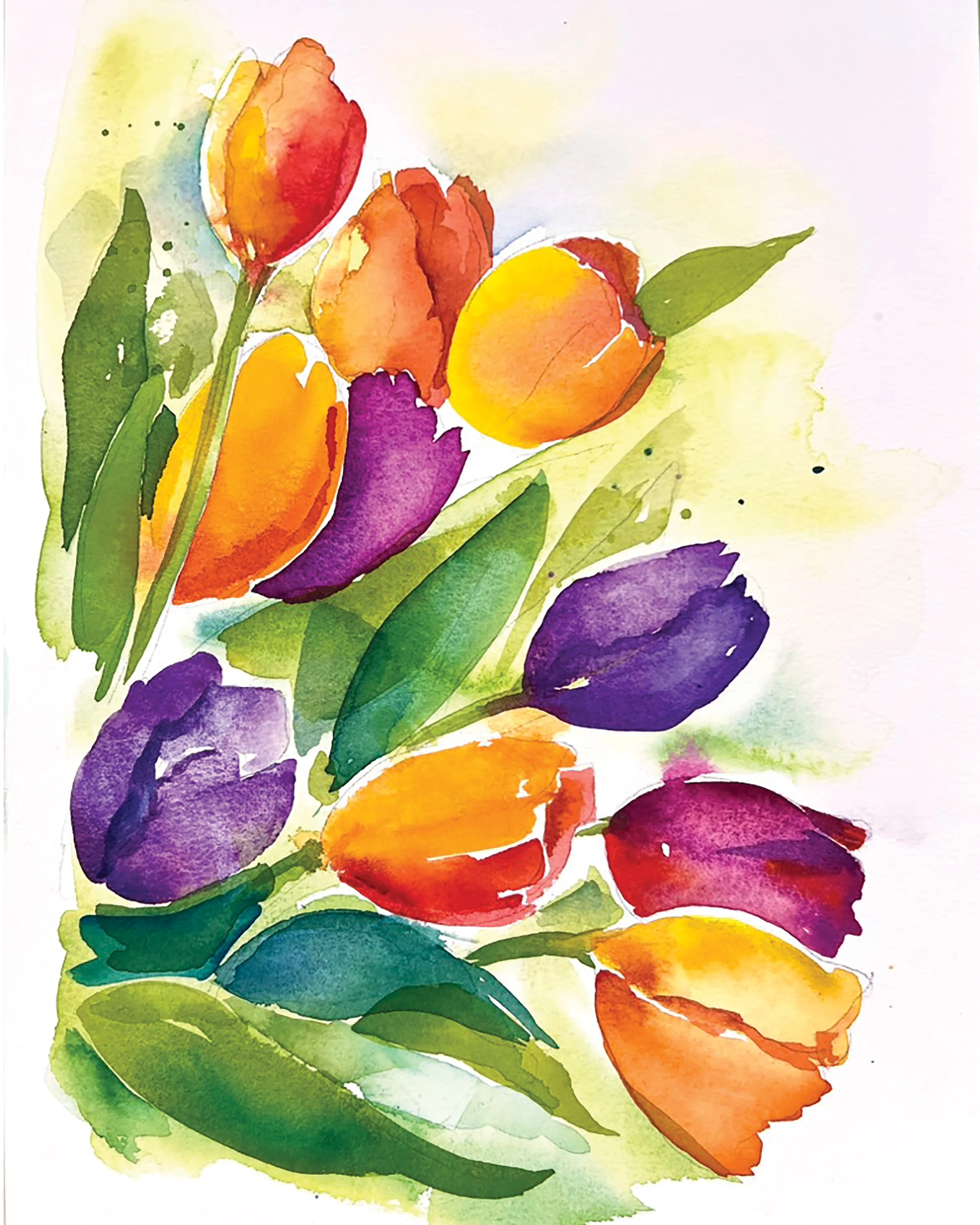 GB-Burst Tulips 8x10.jpg