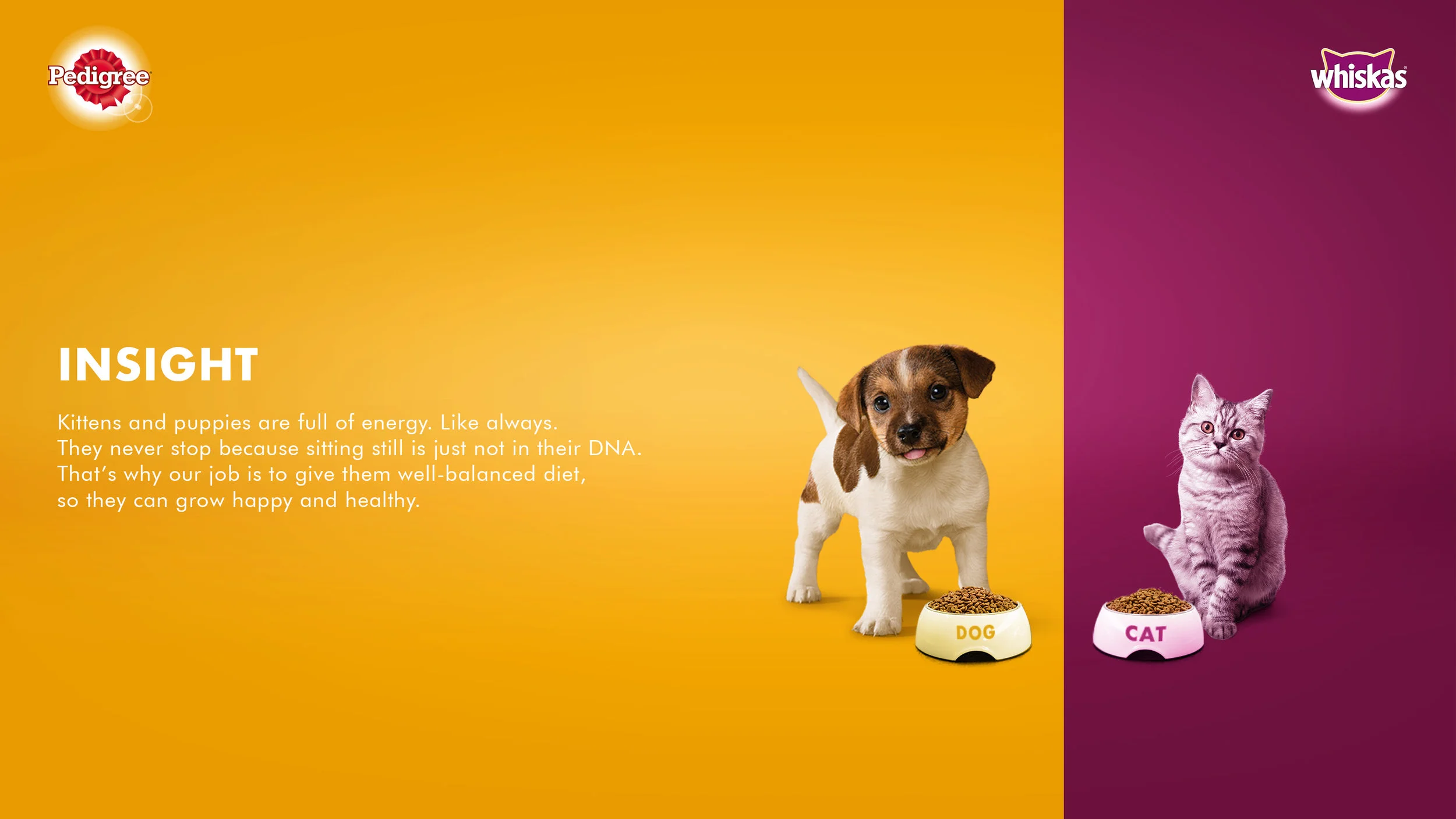 whiskas_pedigree_linia_2_kv_16x9_prezentacja_1.jpg