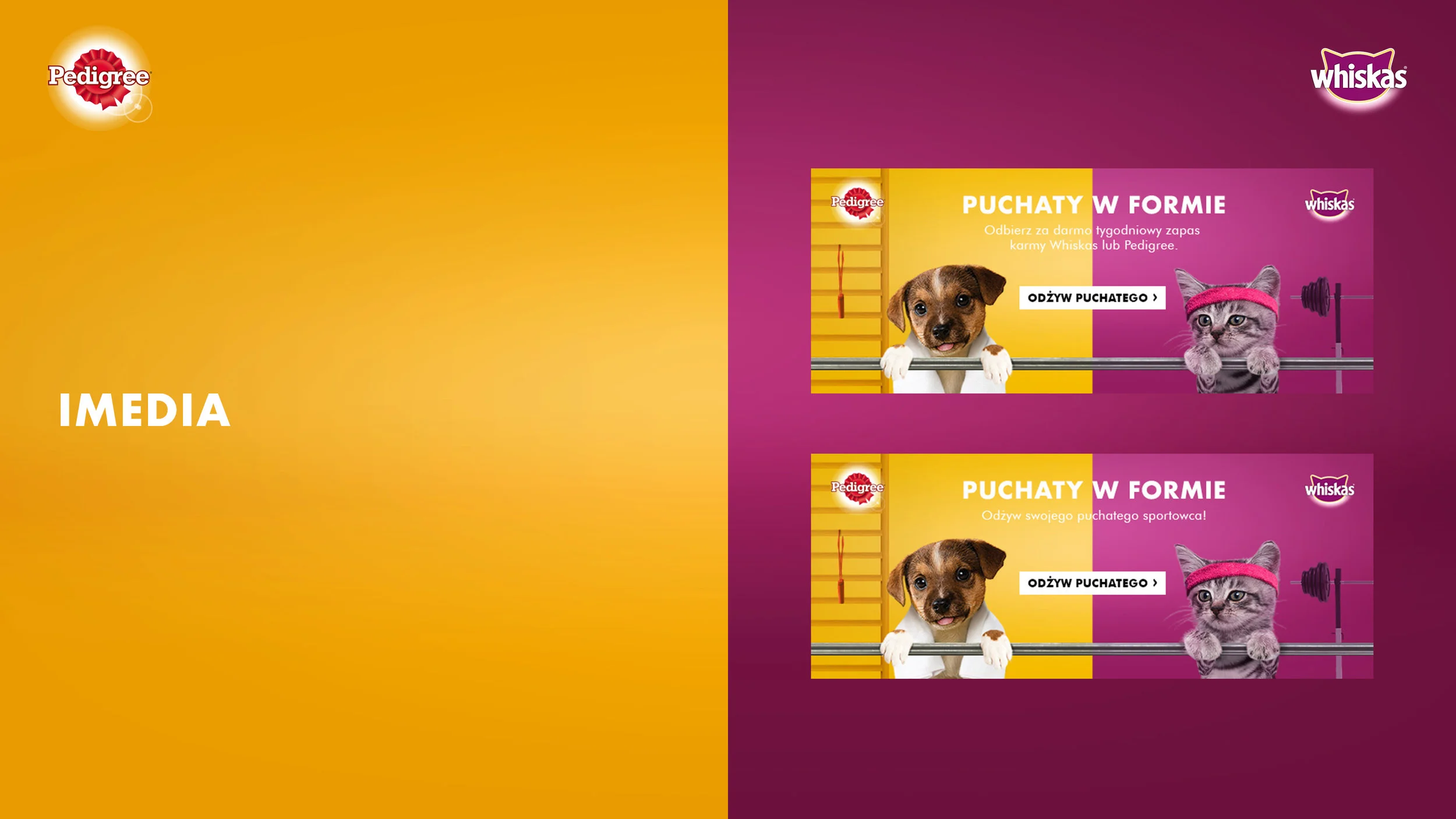 whiskas_pedigree_linia_2_kv_16x9_prezentacja_10.jpg
