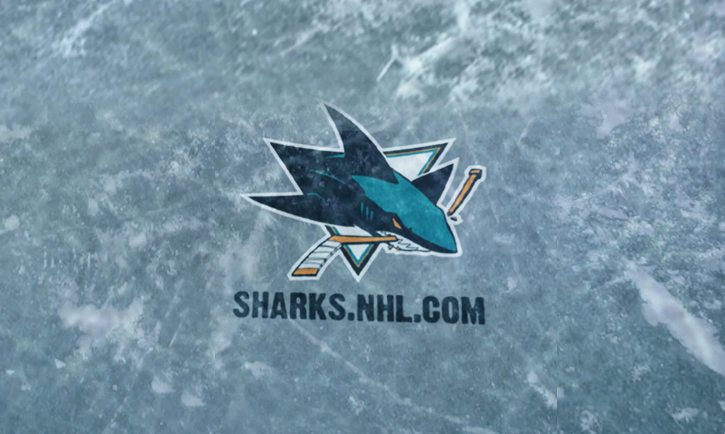 KamilFedkoSharksThumb.jpg