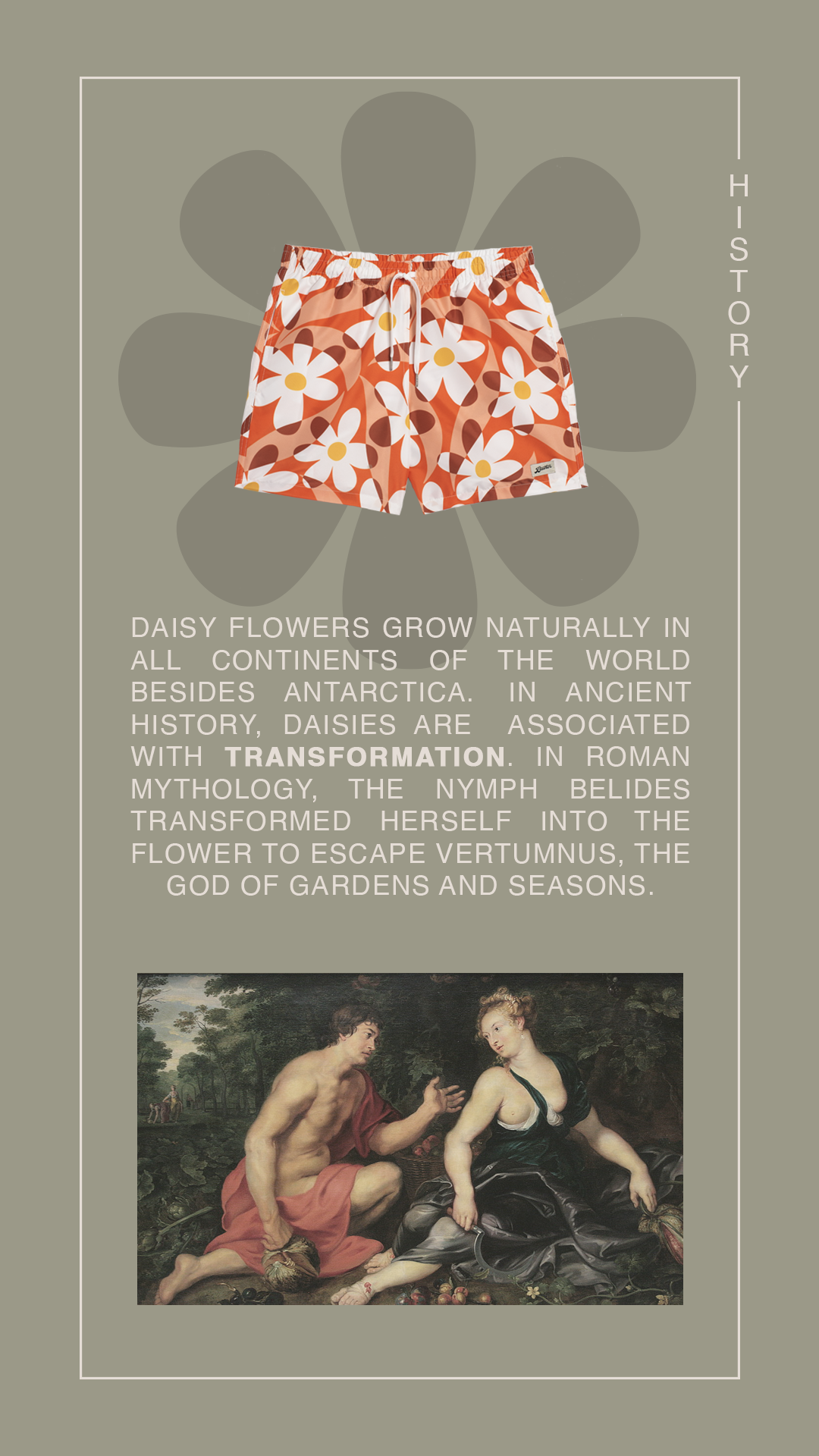 daisytrip-ig2.png