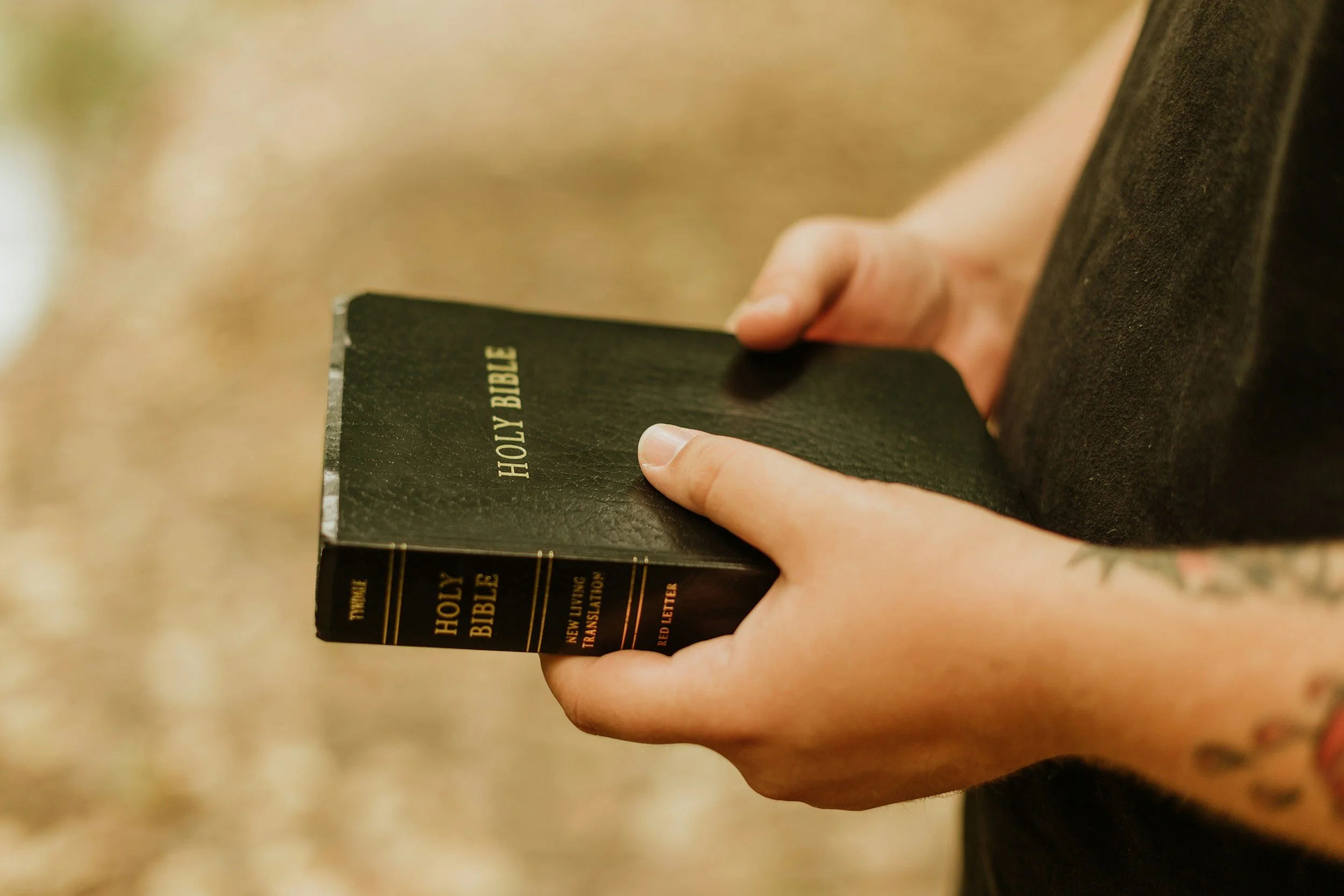 Person holding a small black Holy Bible with gold text on the cover and spine, outdoors with blurred background.