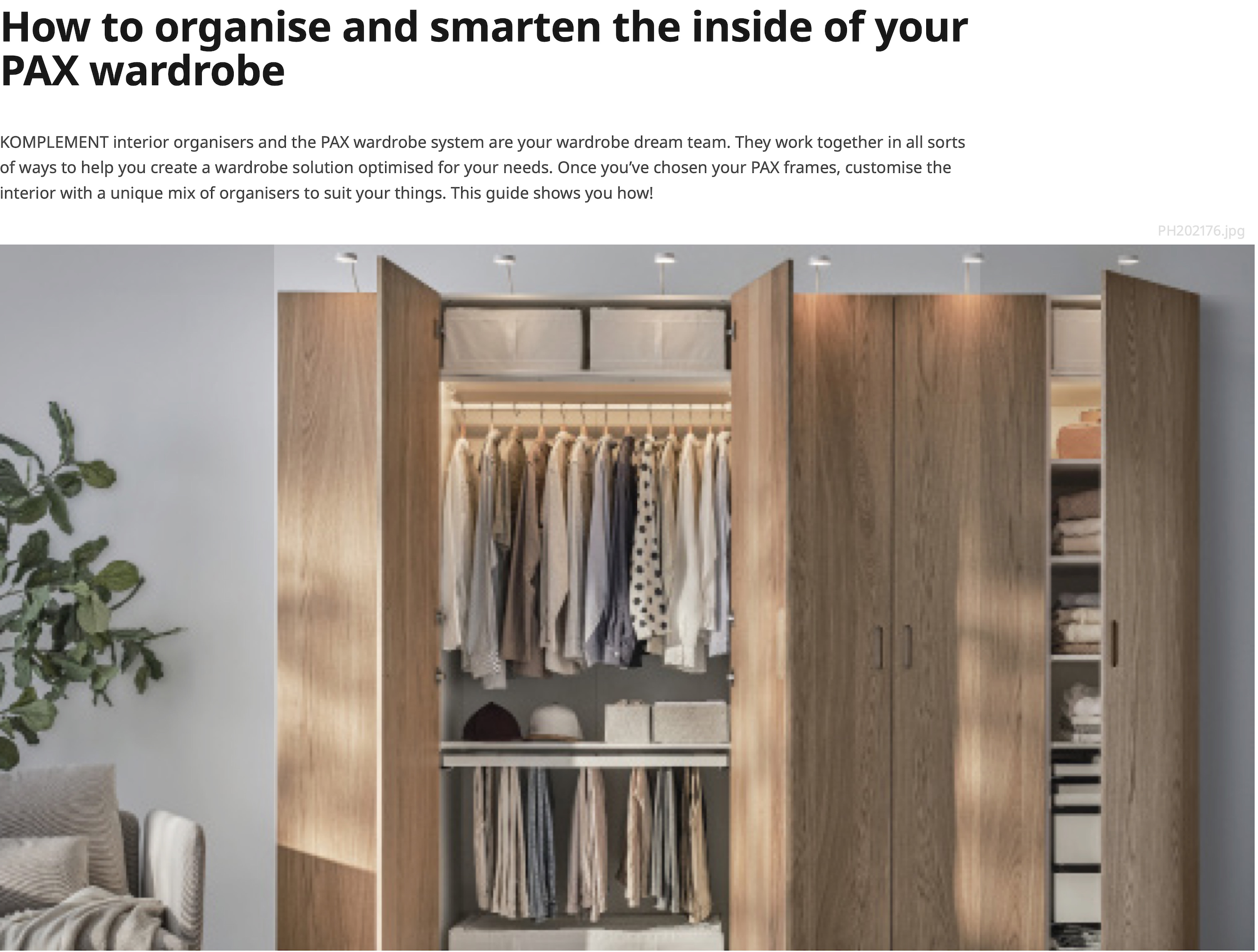 new head inside pax.png