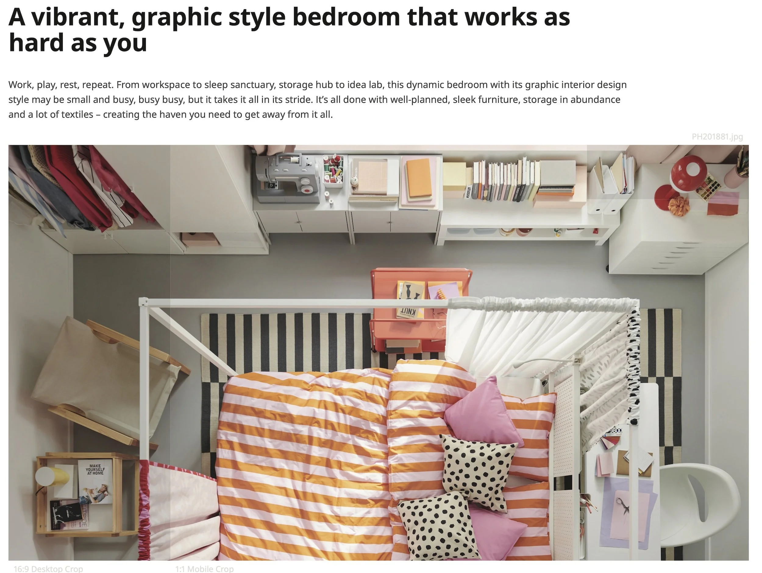 VITRANA Head image.jpg