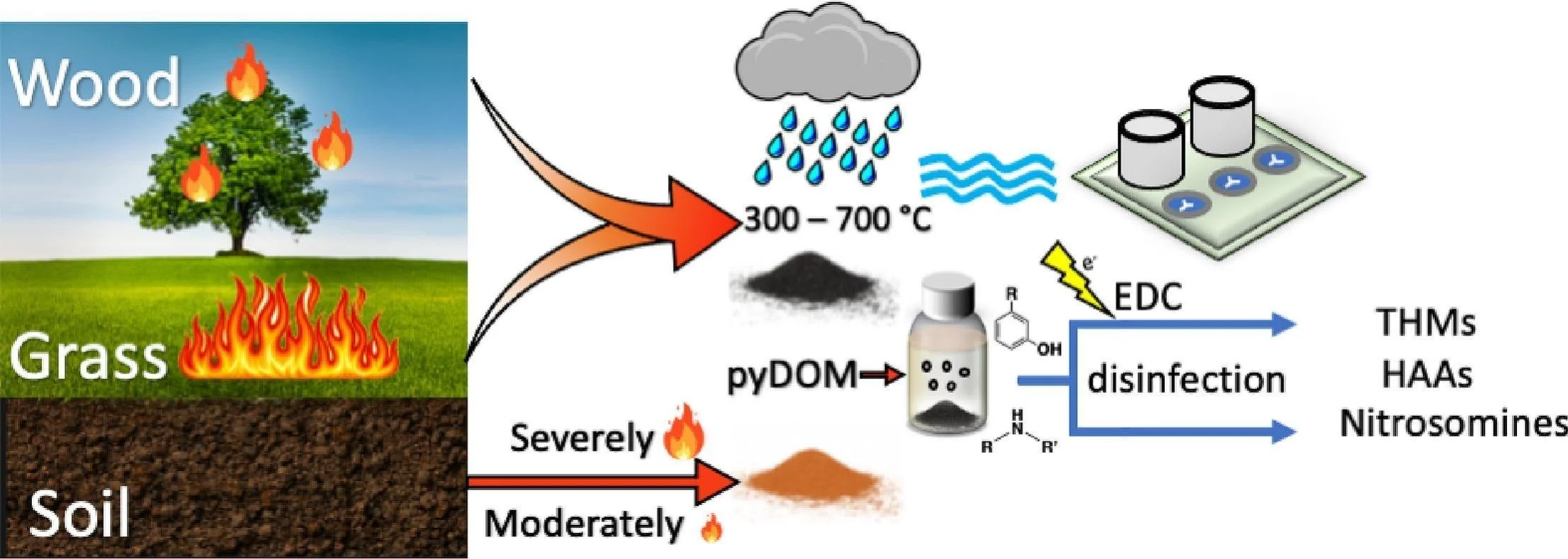 Li, Zhao, et al. “Assess the Formation of Disinfection By-Products from Pyrogenic Dissolved Organic Matter (pyDOM): Impact of Wildfire on the Water Quality of Forest Watershed.” Science of The Total Environment, vol. 898, Nov. 2023, p. 165496. DOI.or
