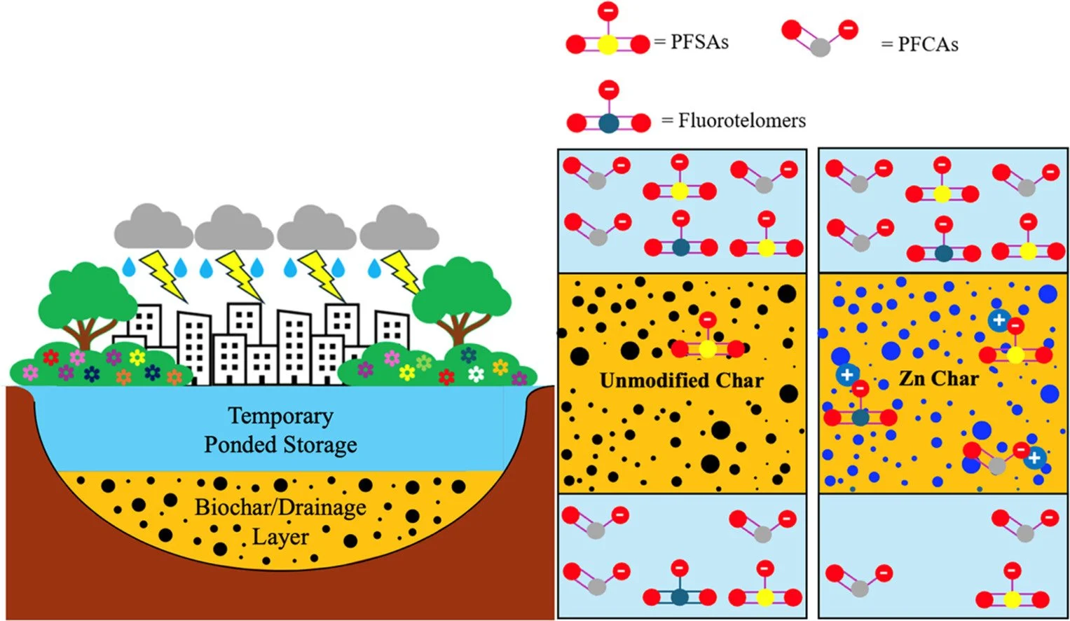 Magee, James C., et al. “Tailored Carbonaceous Materials as Biofilter Amendments for PFAS Removal in Stormwater Runoff.” Water Research, vol. 288, Jan. 2026, p. 124569. DOI.org (Crossref), https://doi.org/10.1016/j.watres.2025.124569.