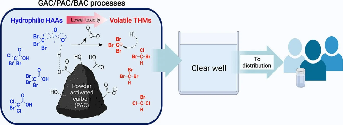 Samonte, Pamela Rose V., et al. “Pyrogenic Carbon-Promoted Haloacetic Acid Decarboxylation to Trihalomethanes in Drinking Water.” Water Research, vol. 210, Feb. 2022, p. 117988. DOI.org (Crossref), https://doi.org/10.1016/j.watres.2021.117988.