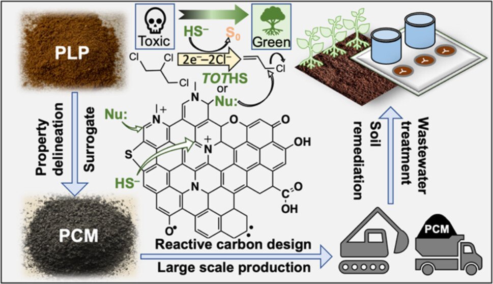 Cao, Han, et al. “Role of Nitrogenous Functional Group Identity in Accelerating 1,2,3-Trichloropropane Degradation by Pyrogenic Carbonaceous Matter (PCM) and Sulfide Using PCM-like Polymers.” Environmental Science & Technology, vol. 58, no. 24, June 