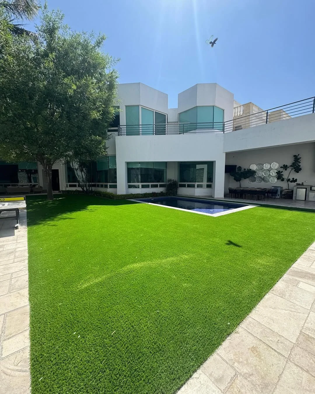Césped verde, piscina en una casa moderna blanca, árbol grande, cielo azul y ave volando.