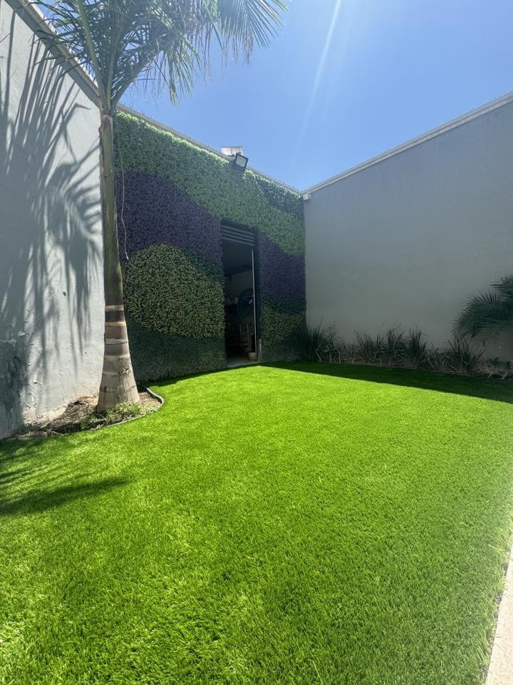 Jardín con césped verde bien cuidado, árbol en la esquina izquierda, paredes blancas y de pared de plantas verdes y moradas en el fondo, edificio con una puerta abierta y reflejo de un automóvil, bajo cielo azul con sol brillante.