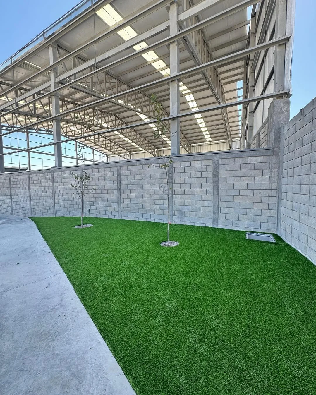Jardín con césped artificial y dos árboles pequeños junto a un muro de bloques de concreto en un espacio al aire libre techado.