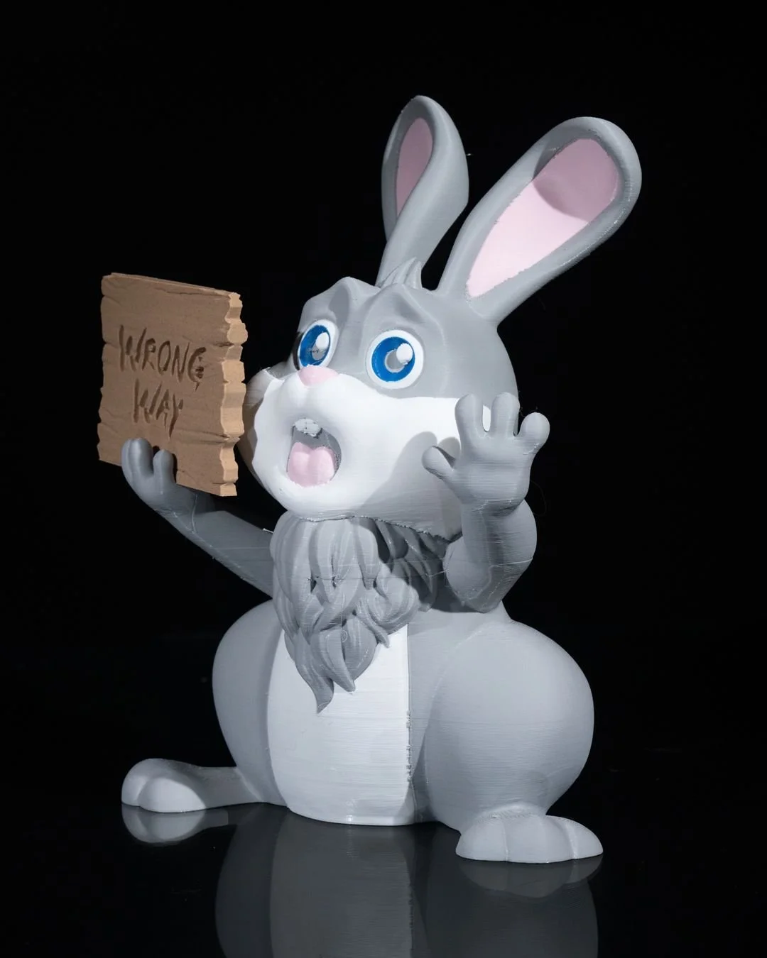 Wrong_Way_Bunny_Sign_3_8569cdd1c4.jpg