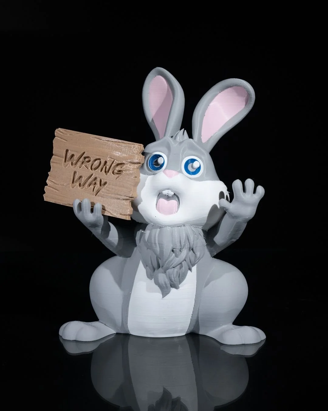 Wrong_Way_Bunny_Sign_1_0be54a6743.jpg