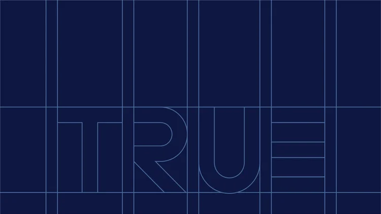 True Program TRUE | Discover Expert Civil Solutions Today
