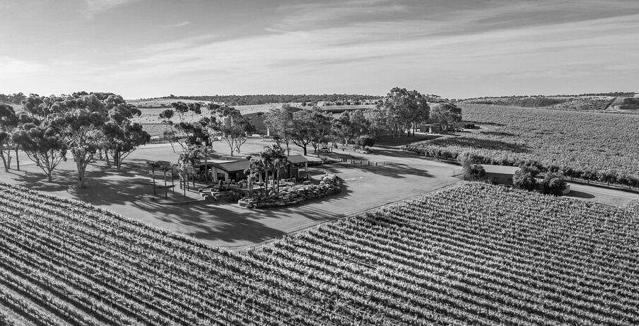 An aerial black and white photo of a rural farm with rows of crops, trees, and a building surrounded by open land and fields.