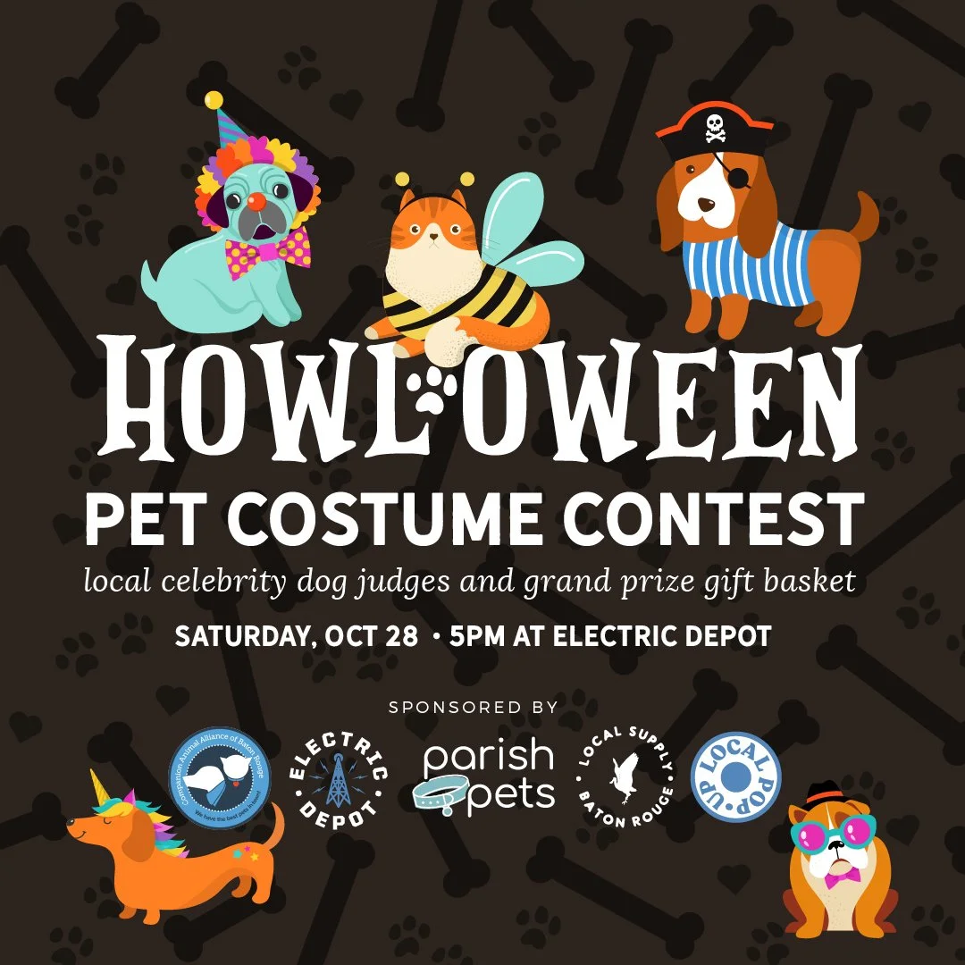 Local Supply Pet Costume Contest 