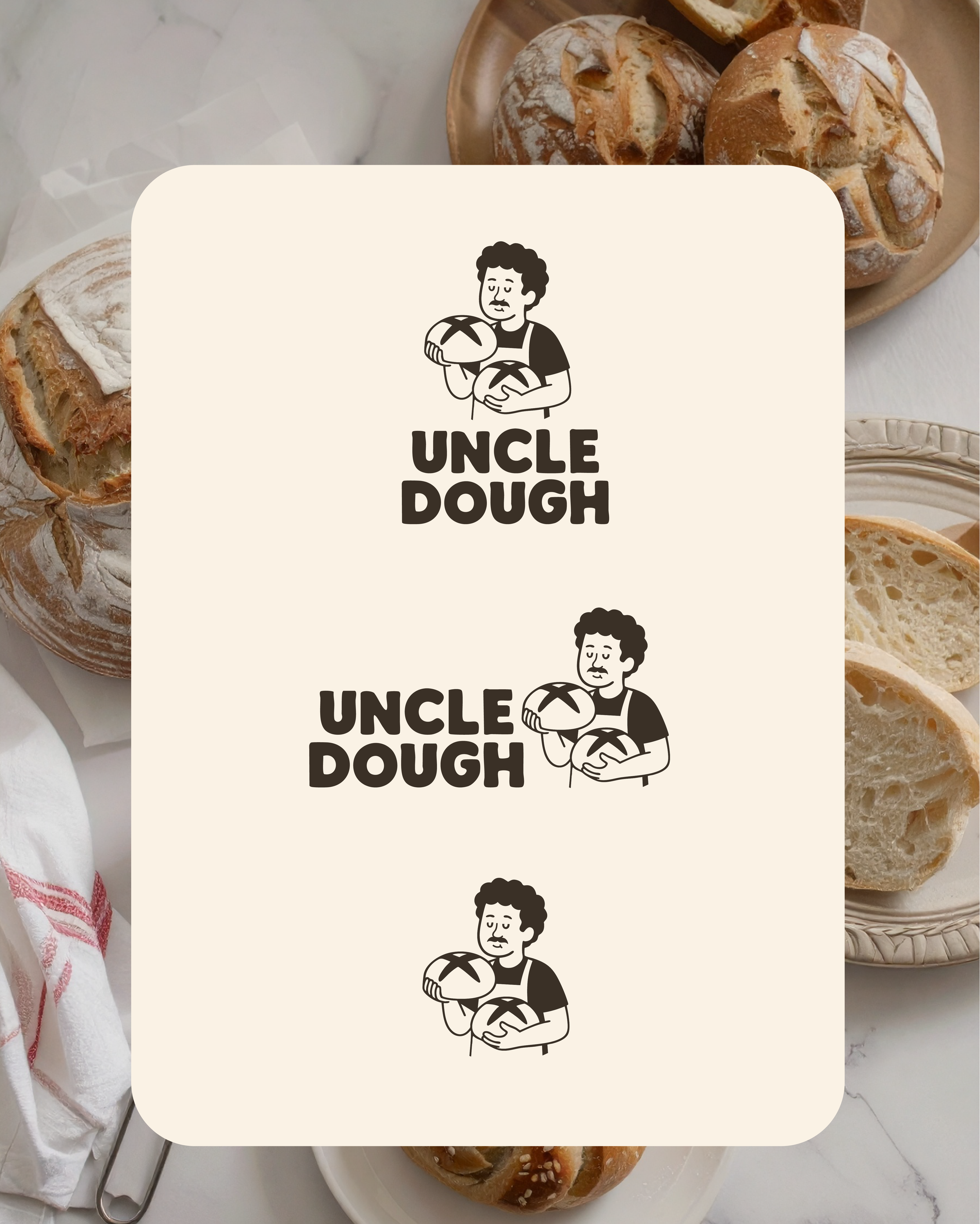 Logo variation, primary secondary and icon