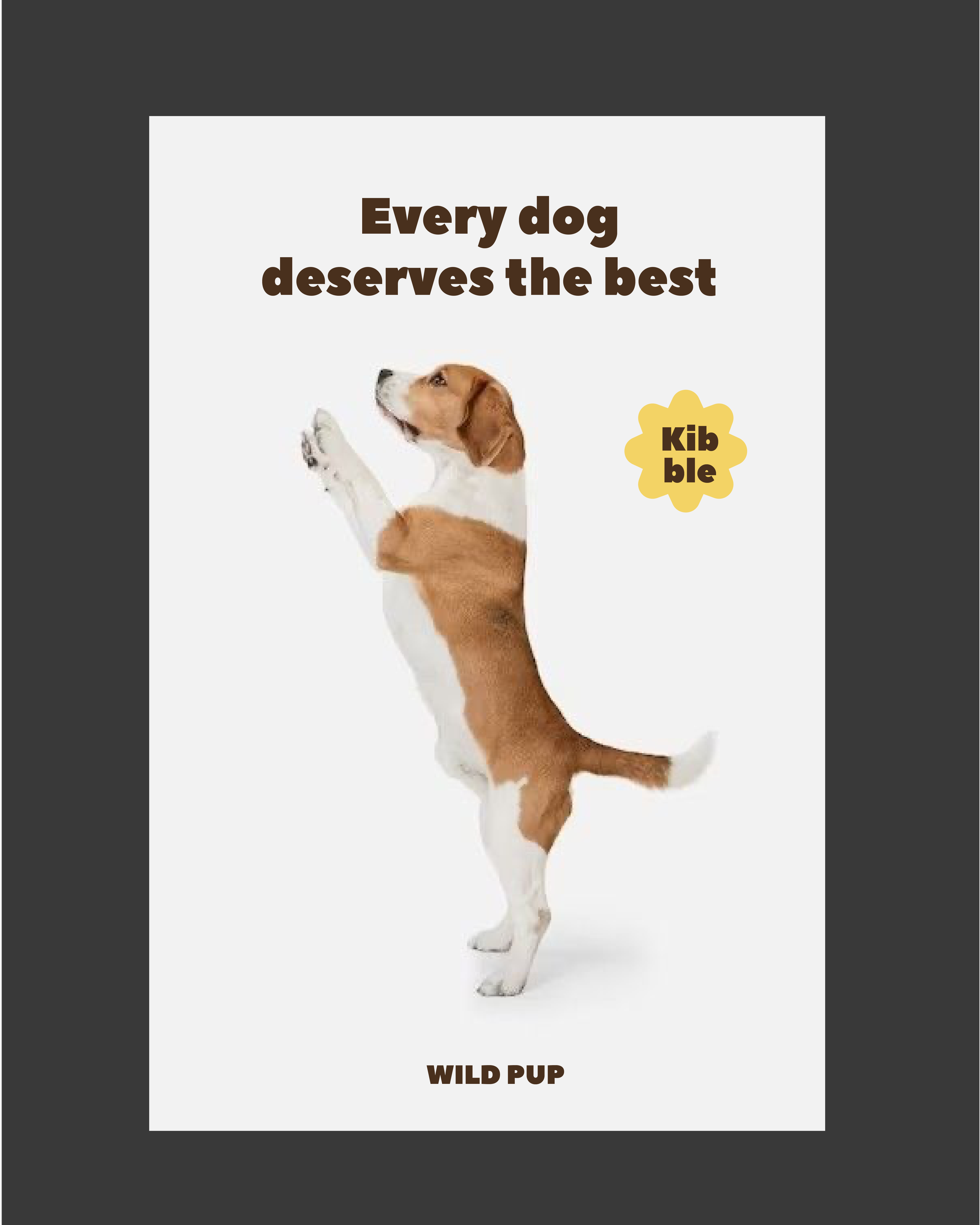 Dark grey background with a poster saying every dog deserves the best, with a picture of a dog standing up