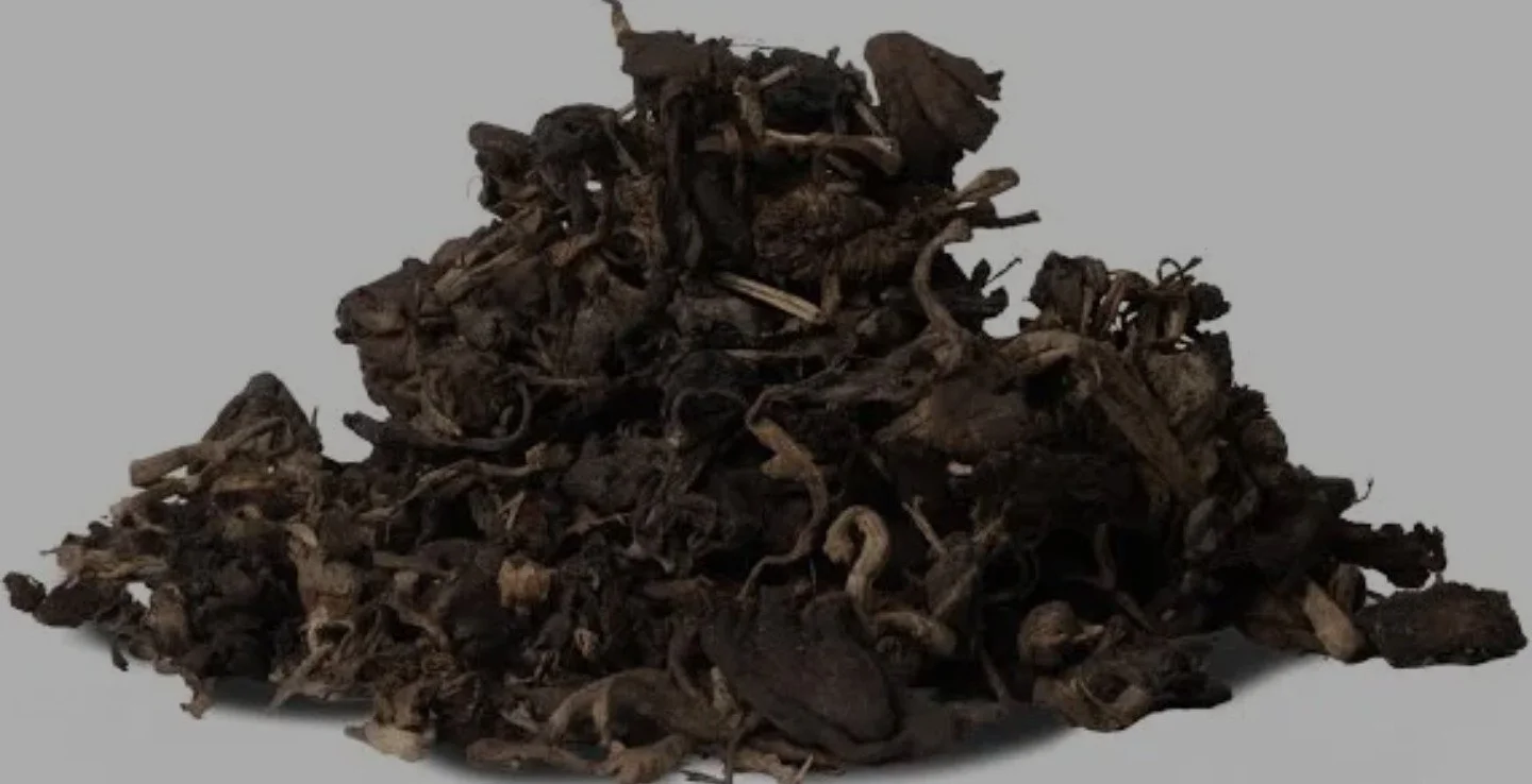 DJON DJON. ( PA MAMIT)