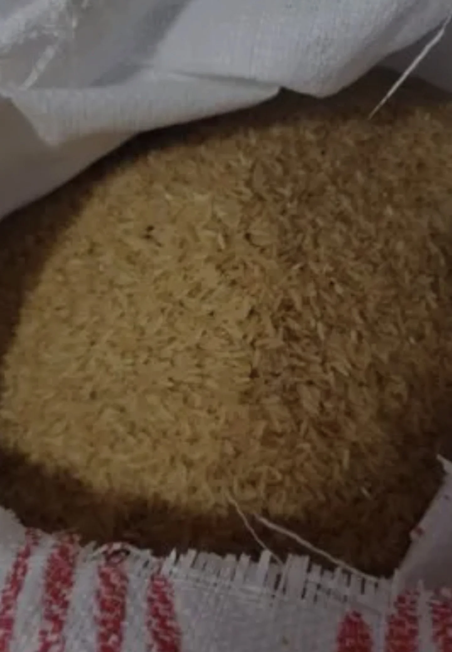 CHELLA RICE.( PA MAMIT)