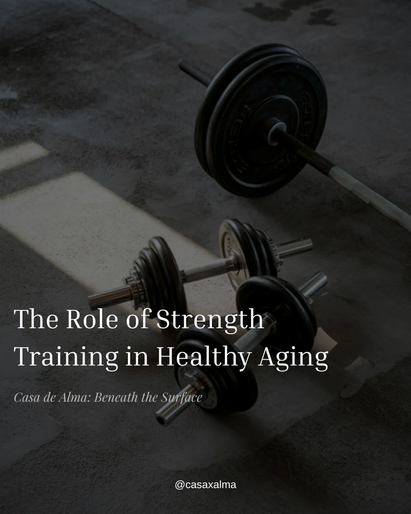 New on the blog: Why Strength Training Is One of the Best Investments You Can Make in Your Health.

Read more at the link in bio 🤍