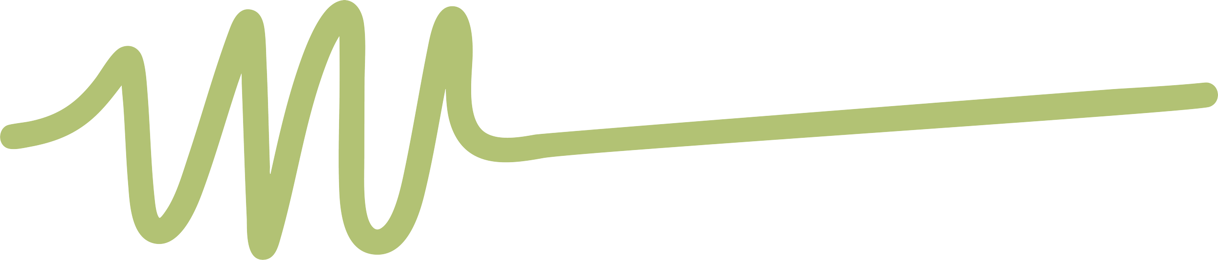 Une illustration d'une ligne sinueuse verte avec le mot 'WIM' écrit en majuscules stylisées en vert pâle.
