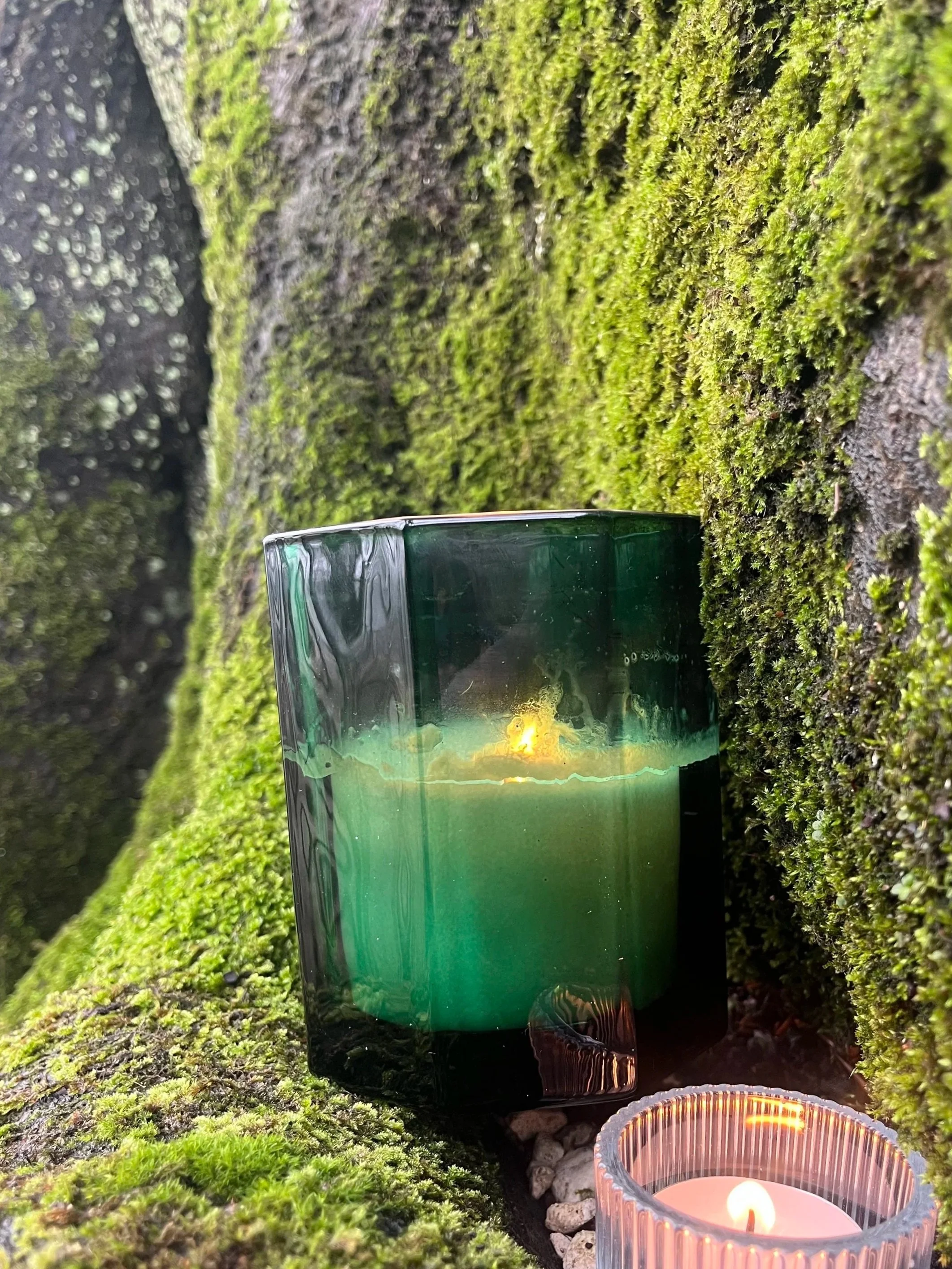 An image of candles resting on mossy roots, signifying women gathering at an Oak & Starlight circle event