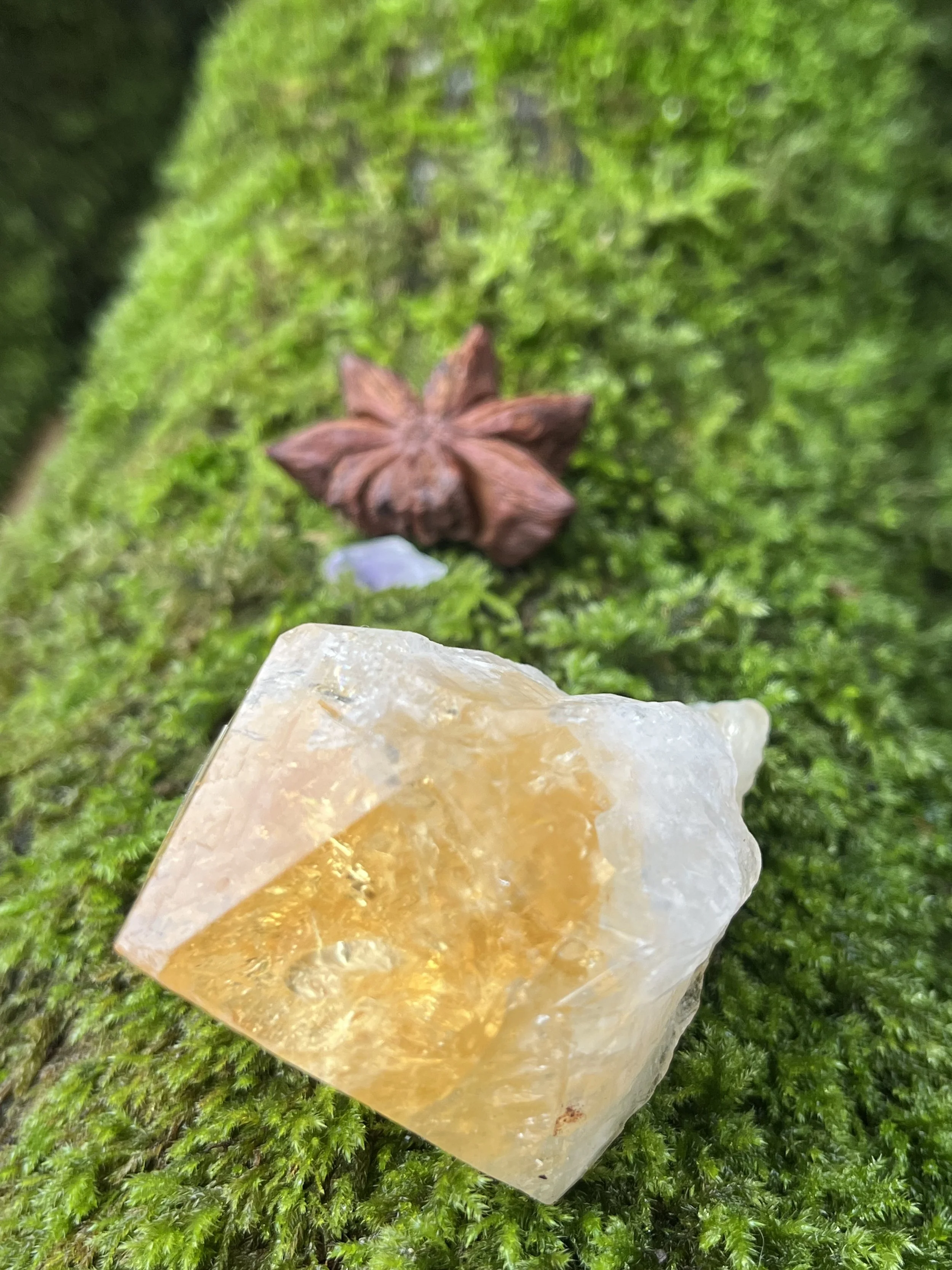 Close-up of a rough, translucent yellow crystal on green moss with a brown star-shaped seed pod in the background.