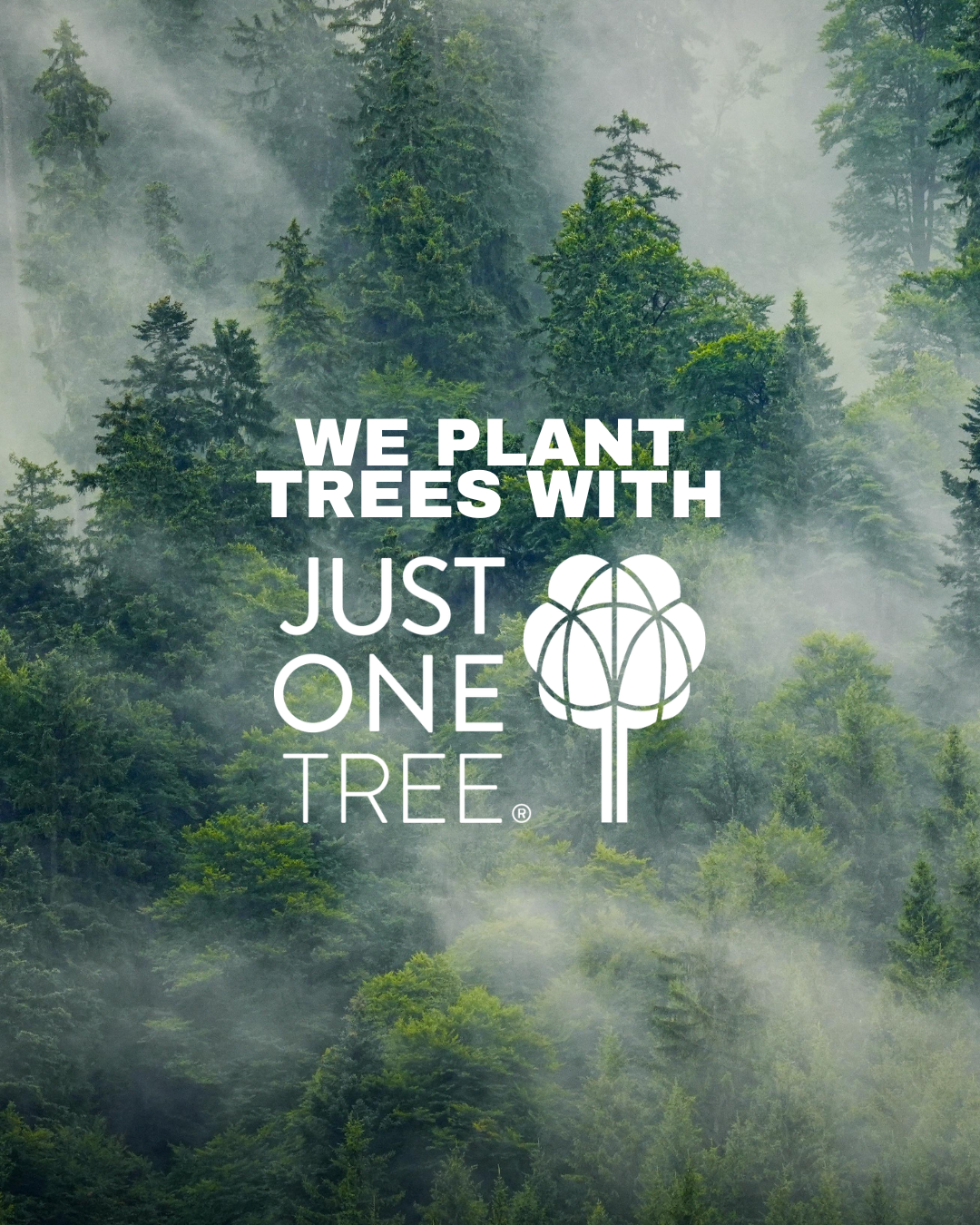 Growth that goes further: why I’ve partnered with Just One Tree