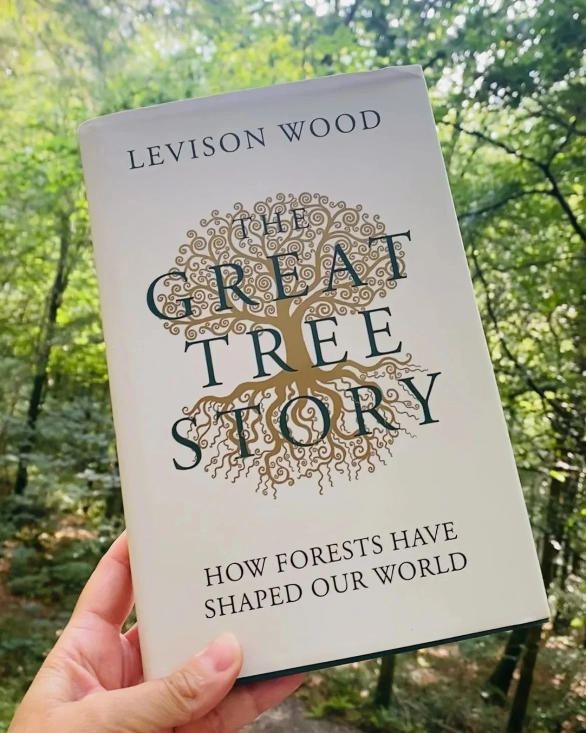 The Great Tree Story Levison Wood