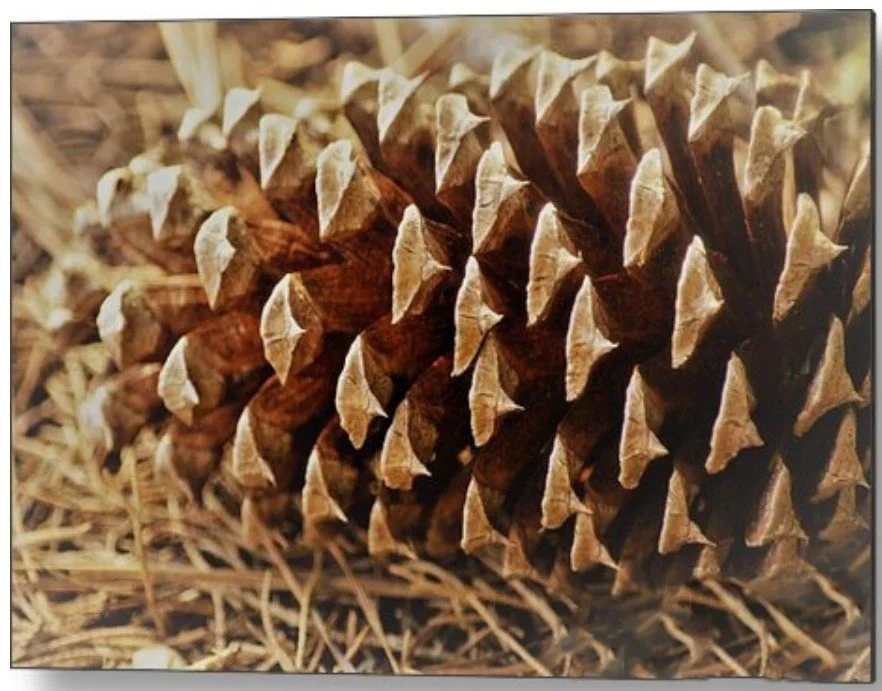 echoes of autumn - metal.jpg