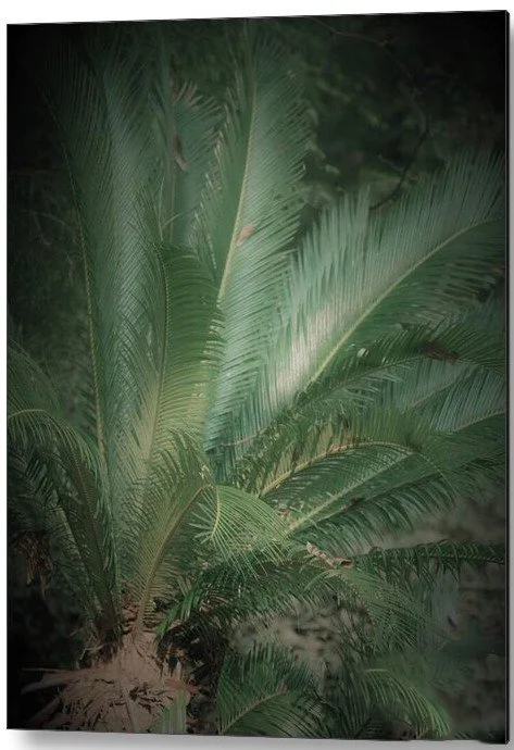 summer palm - metal.jpg