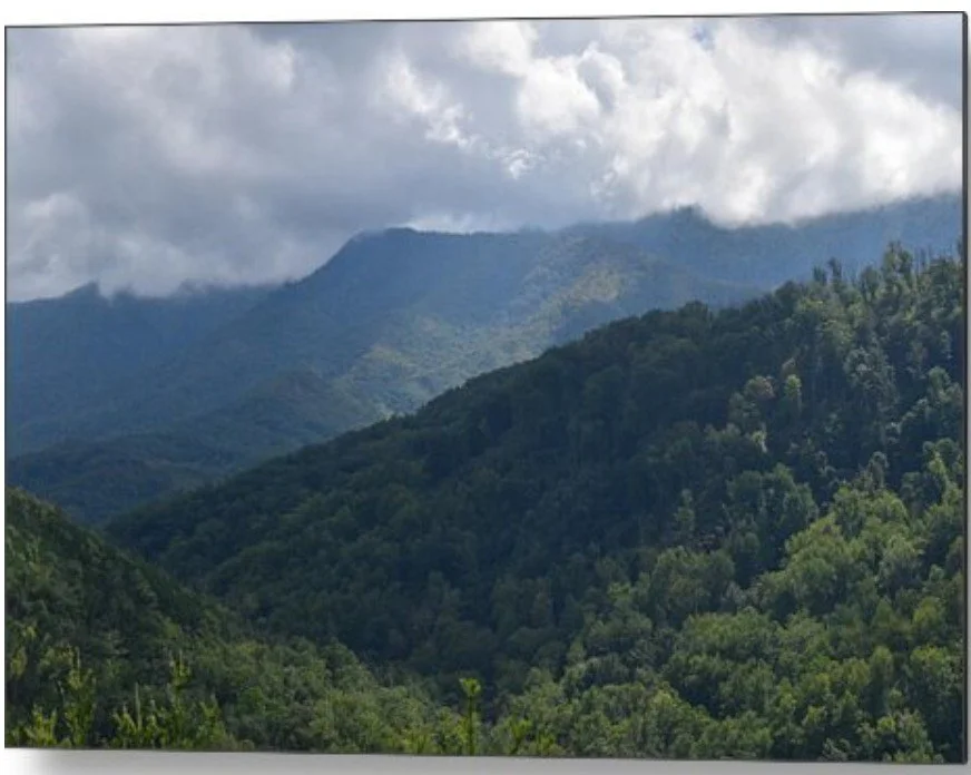 misty mntn - metal.jpg