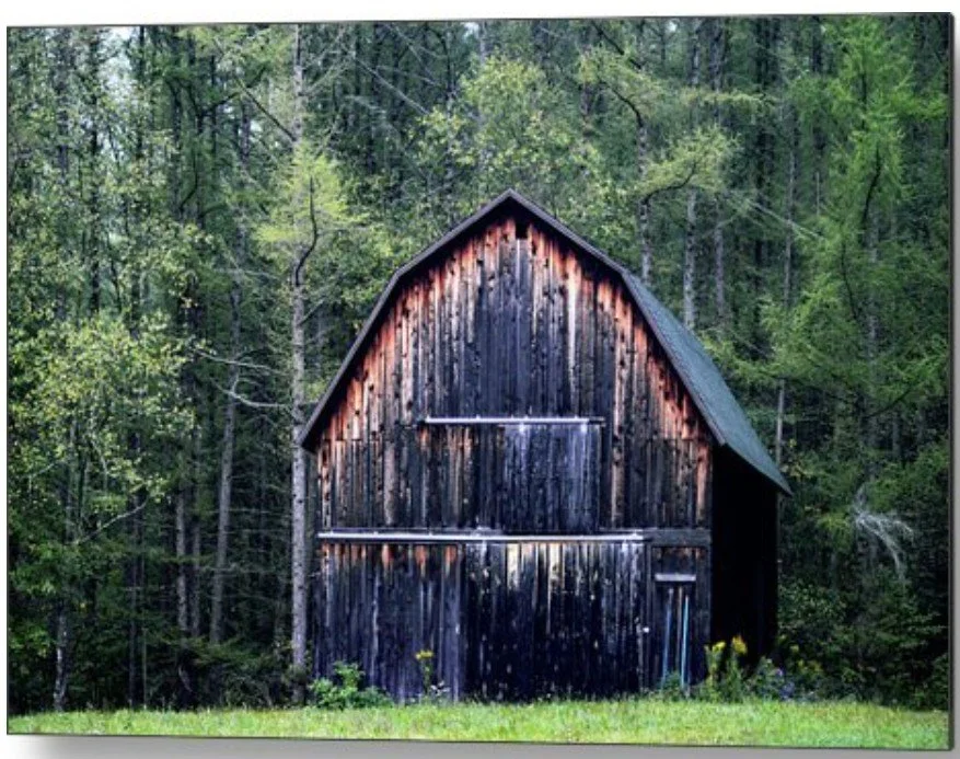 Rustic Barn in Wooded Setting