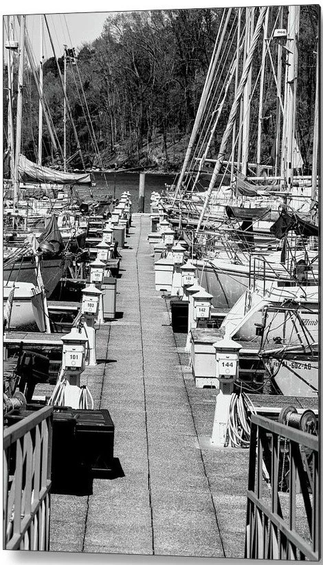 The Marina