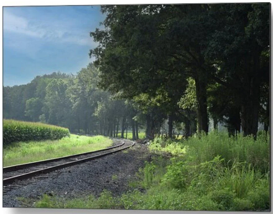 serene tracks - metal.jpg