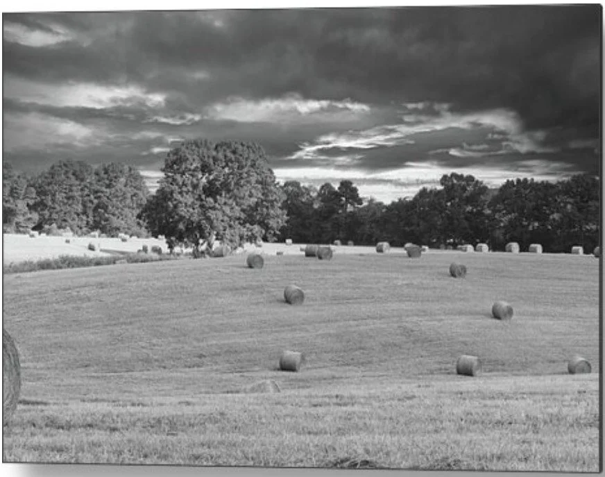 a stormy field - metal.jpg