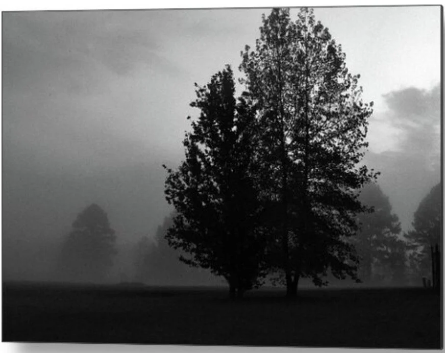 An Autumn Fog