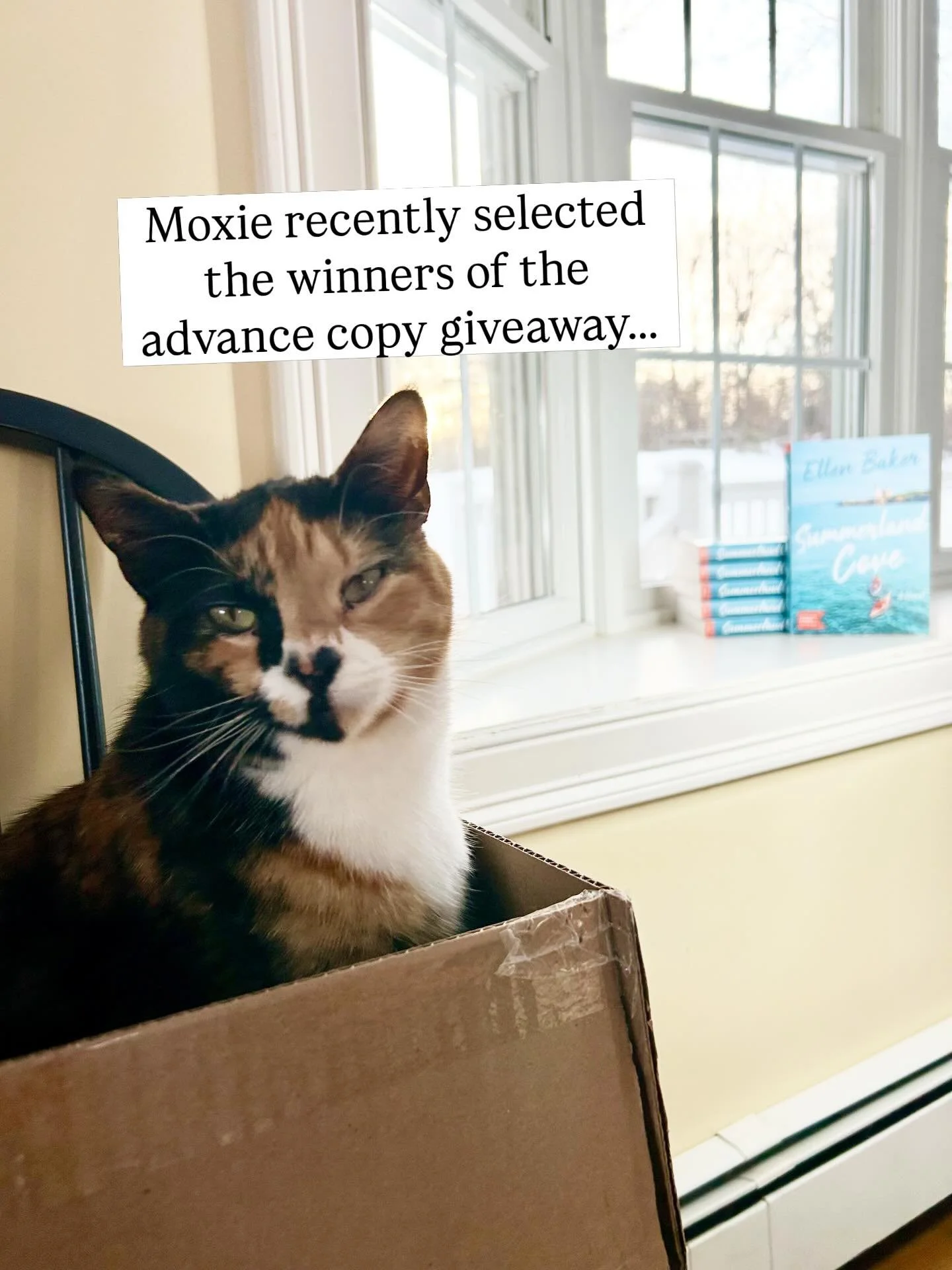 🦞☀️SUMMERLAND COVE is a suspense-laced story set on the coast of Maine about mothers and marriages, secrets and lies, love and loss, and finding the way back home. Congratulations to @jessicafinchmusic and @stacyelizabethwrites who both won a signed