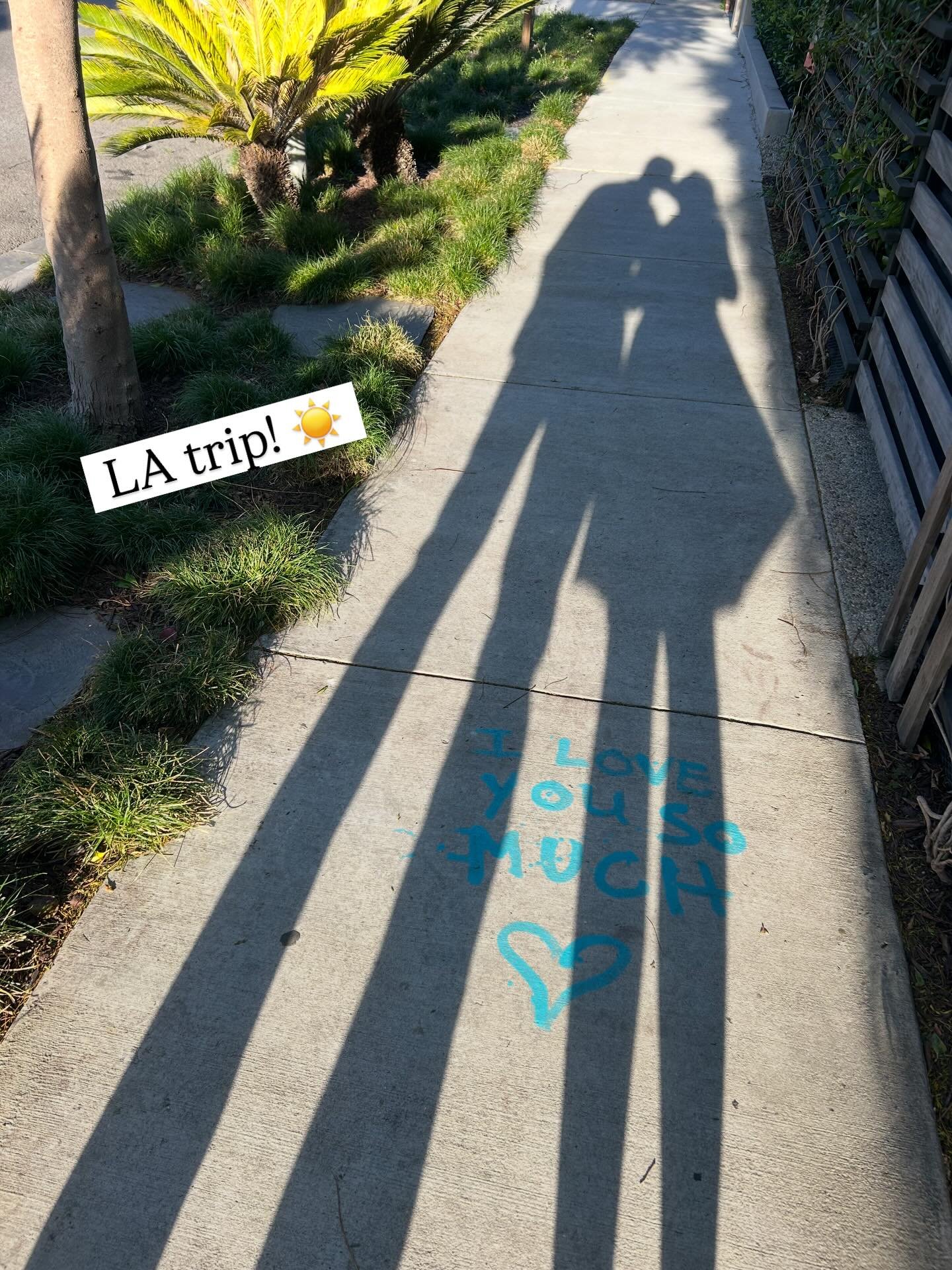 A couple of cinematic moments from our recent and wonderful trip to LA! ☀️🌆😎 Back at my desk in muddy, melting Maine now and getting ready to launch my new Maine-set family saga novel SUMMERLAND COVE (June 2!) plus a new identity coaching program f