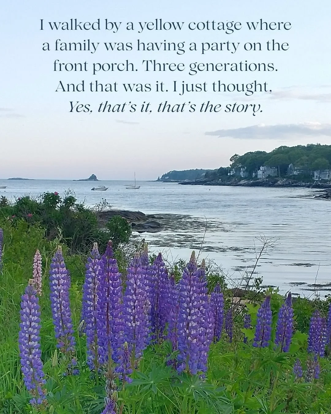 I had so much fun sitting down with @bibliophile_317 for a conversation about SUMMERLAND COVE, the magic of a Maine summer, and how I created a lot of problems and drama for the family in my novel. 🙂

These slides include a few moments from our conv